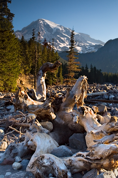 Paradise Creek, Mount Rainier National Park 02