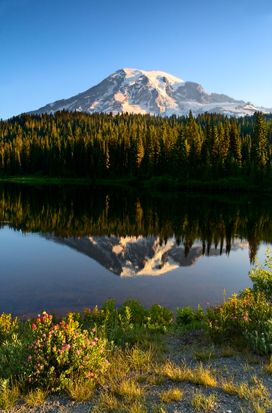 Reflection Lake, Mount Rainier National Park 02