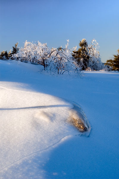 Pack Monadnock Mountain, NH 03