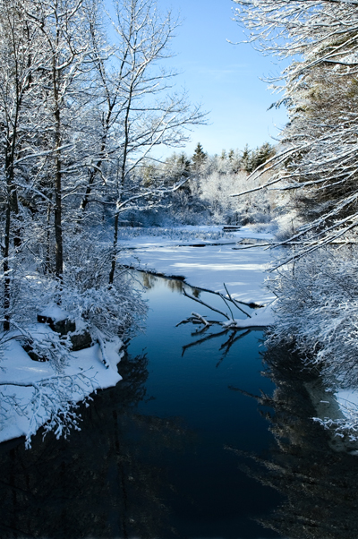 Salmon Brook, Nashua, NH 10