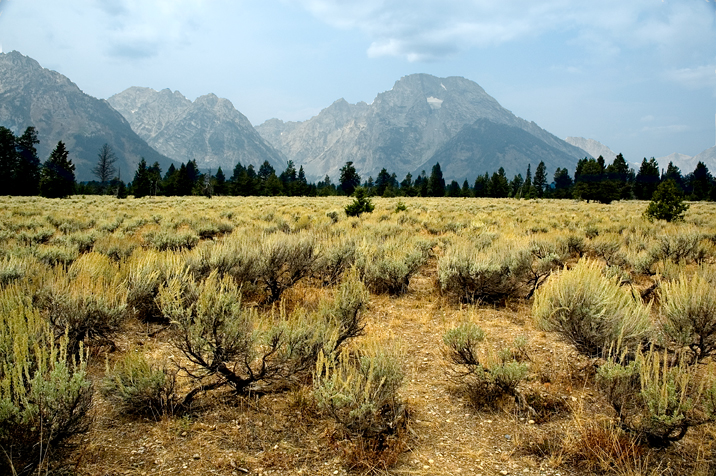 Grand Teton National Park 05