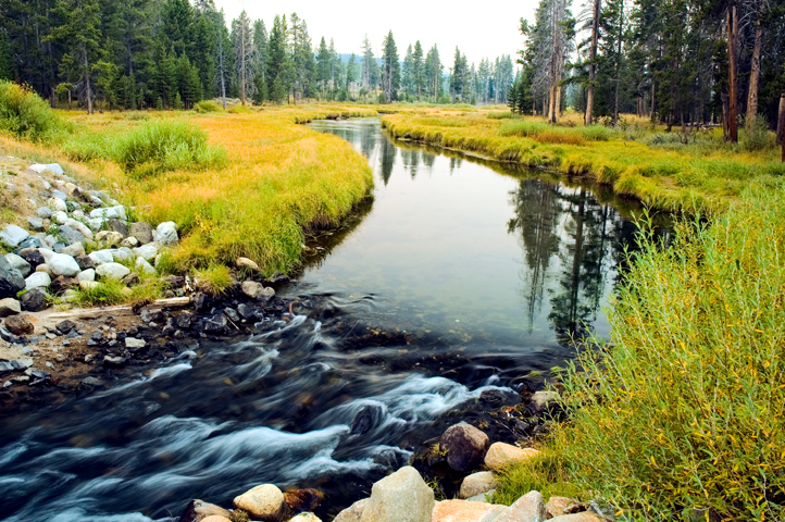 Creek, Indian Creek, Yellowstone National Park