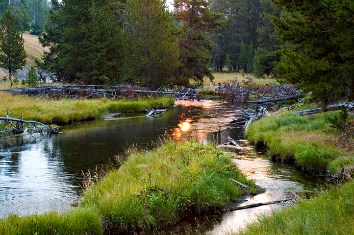 Creek, Near Old Faithful, Yellowstone National Park