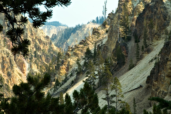 Yellowstone Canyon, Yellowstone National Park 03